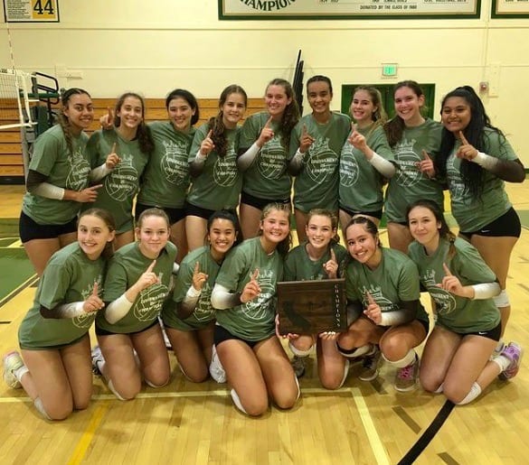 Saint Francis girls volleyball team. Photo: Courtesy Saint Francis Athletics.